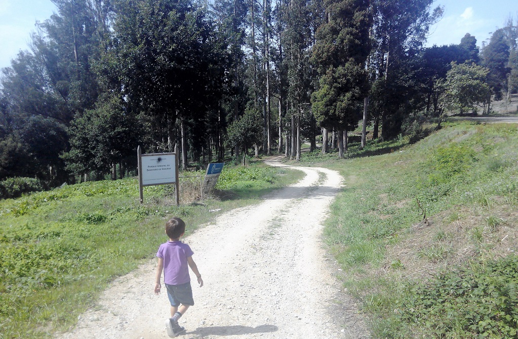Mini-rutas: el hospital de Cesuras y su parque forestal