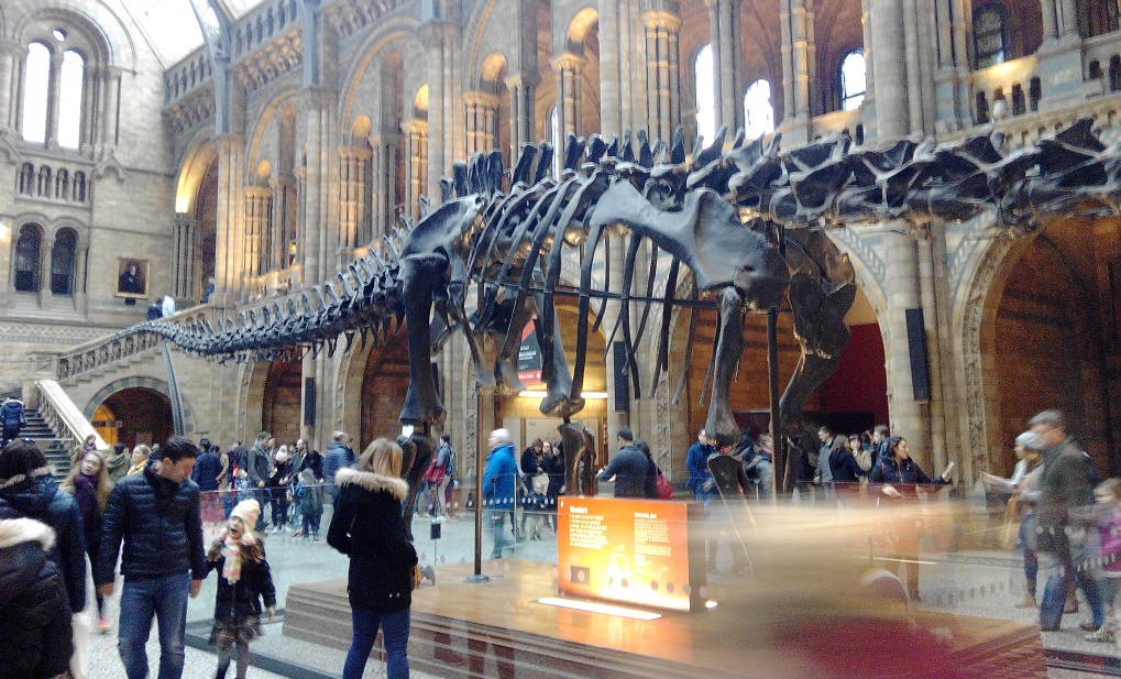 El Museo de Historia Natural de Londres, con niños