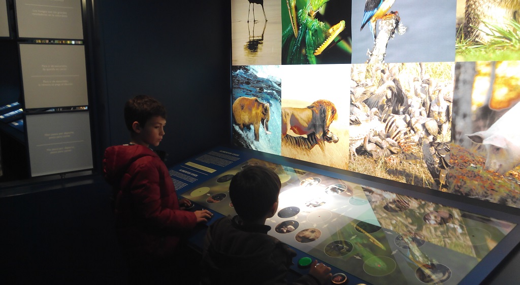 Un museo sobre la naturaleza en Vigo, con niños