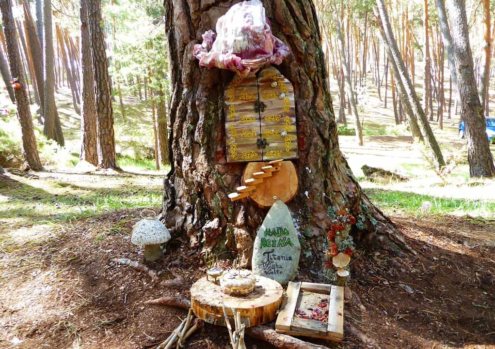 Magia y gnomos: un bosque para ir con niños
